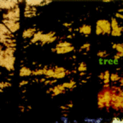 Jane Siberry - Tree: Music for Film and Forests album
