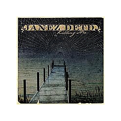 Janez Detd - Killing Me album