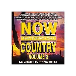 Kenny Chesney - Now That&#039;s What I Call Country Volume 3 album