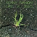 Kenny Rankin - Like a Seed album