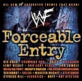 Kid Rock - WWF Forceable Entry альбом