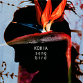Kokia - songbird album