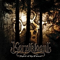 Korpiklaani - Spirit of the Forest альбом