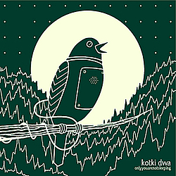 Kotki Dwa - Onlyyouarenotsleeping альбом
