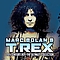 T.Rex - 20th Century Boy: The Ultimate Collection album