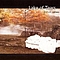Lake Of Tears - Forever Autumn album