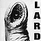 Lard - The Power of Lard album