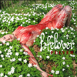 Lifelover - Pulver альбом