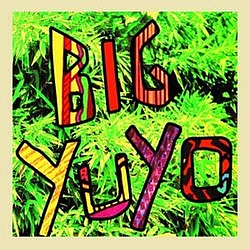 Los Pericos - Big Yuyo album