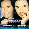 Los Temerarios - Tributo Al Amor album