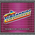 Los Temerarios - Tesoros de Coleccion альбом