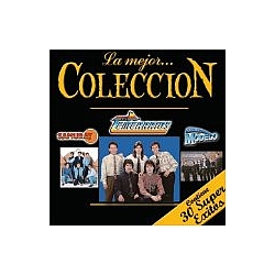 Los Temerarios - La Mejor Coleccion альбом