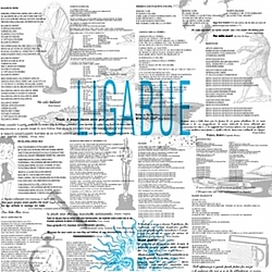 Luciano Ligabue - Ligabue альбом