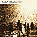 Luka Bloom - Tribe album