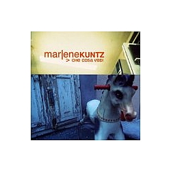 Marlene Kuntz - Che cosa vedi ora album