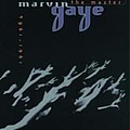 Marvin Gaye - The Master 1961-1984 album