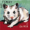 Mary Timony - Ex Hex альбом