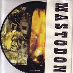 Mastodon - 7 Inch Picture Disc Vinyl album