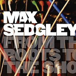 Max Sedgley - From The Roots To The Shoots album