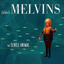 Melvins - A Senile Animal album