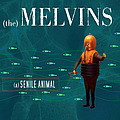 Melvins - A Senile Animal album