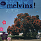 Melvins - 26 Songs album