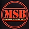 Michael Stanley Band - MSB album