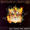 Molotov - El Mas Grande Homenaje a Los Tigres Del Norte альбом