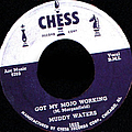 Muddy Waters - Got My Mojo Working album