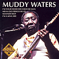Muddy Waters - Muddy Waters альбом
