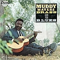 Muddy Waters - Muddy, Brass and the Blues album