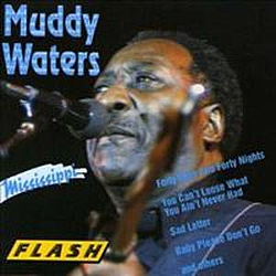Muddy Waters - Mississippi album