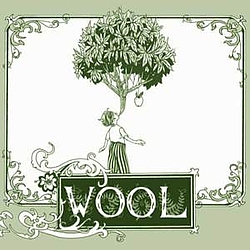 Nick Jaina - Wool album