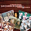 Los Cadetes De Linares - La Verdadera Historia de Homero Guerrero Jr album